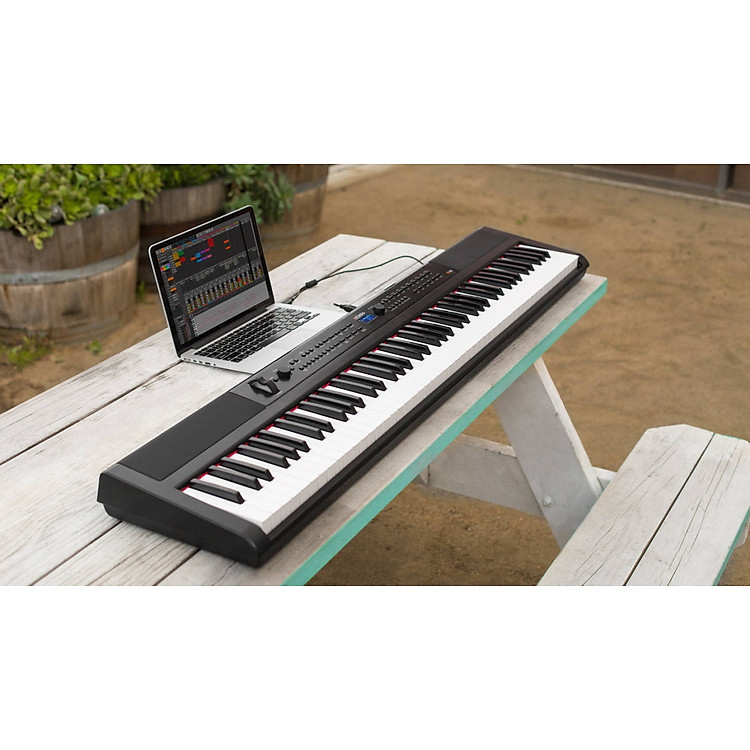 Đàn Piano điện/ Studio, Mobile Digital Piano - Artesia PE-88 (PE88) - Best Digital Piano for Studio, Màu đen (BL) - Hàng chính hãng