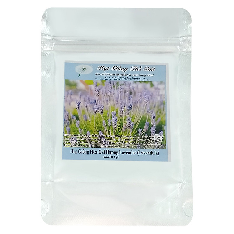 Hạt Giống Hoa Oải Hương Lavender (50 Hạt)