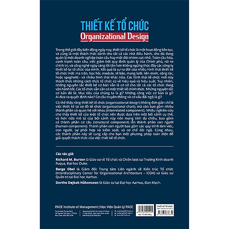 Thiết Kế Tổ Chức (Organizational Design) - Ảnh 3