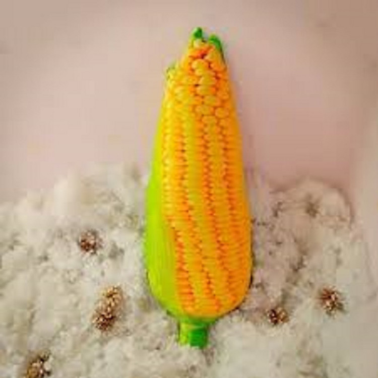 gối ôm hình trái bắp ngô