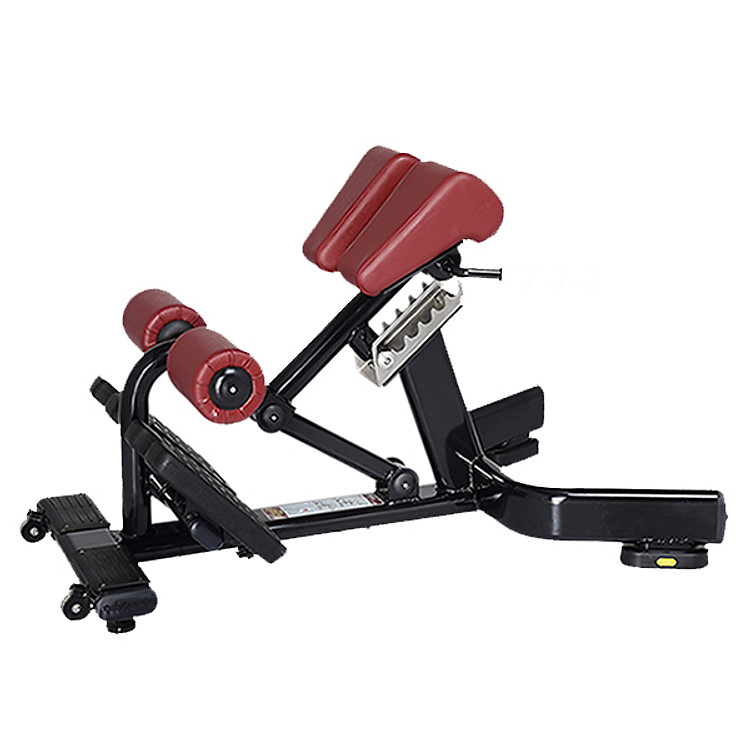 Ghế lưng - bụng cao cấp (Roman Chair) - XH-026