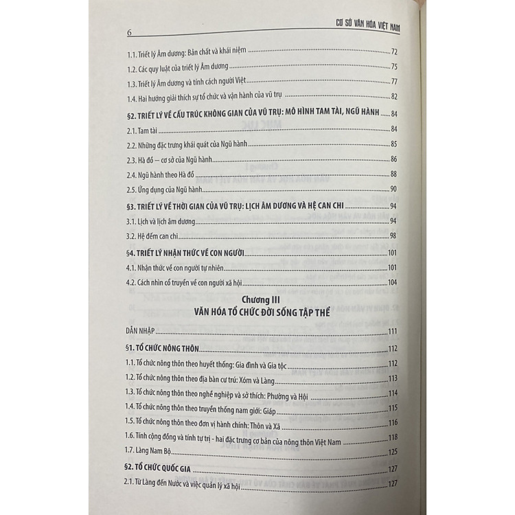 Cơ sở văn hóa Việt Nam (Bản mới) - Ảnh 5