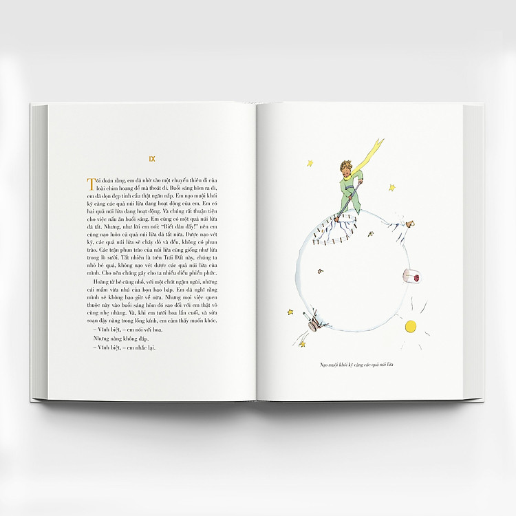 HOÀNG TỬ BÉ – song ngữ Việt Pháp - Ảnh 6