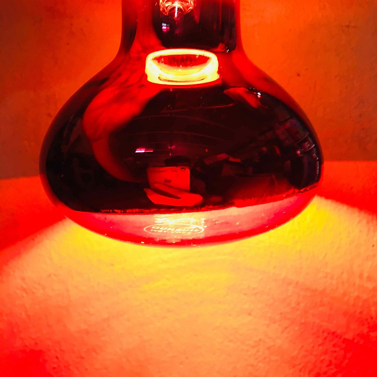 Bóng đèn hồng ngoại sưởi ấm cho heo con, gà con M-R125-100W