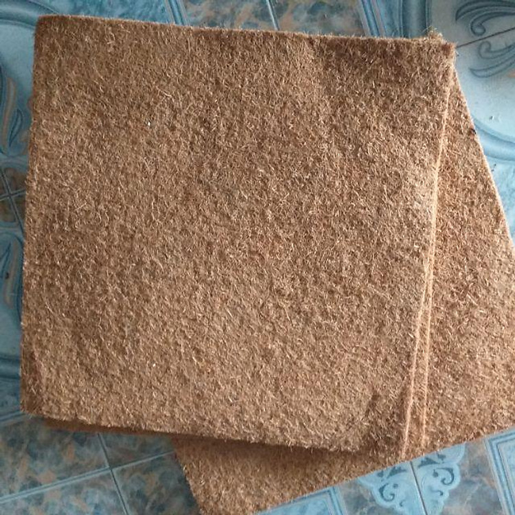 Thảm xơ dừa ép kích thước 50x50 cm, giá thể giữ ẩm cho cây trồng chậu