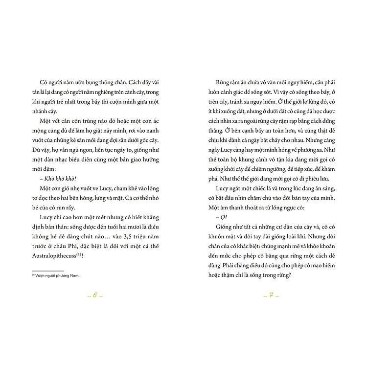 Những Con Người Đầu Tiên - Lucy - Người Phụ Nữ Đầu Tiên - Ảnh 4