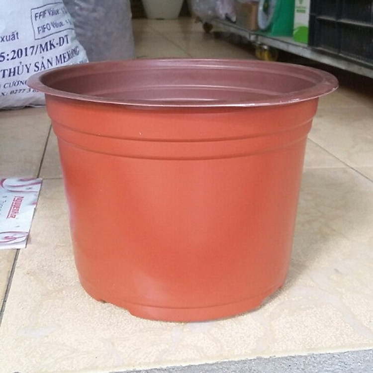 Combo 20 chậu nhựa mỏng trồng cây màu nâu (23 x 16 cm)