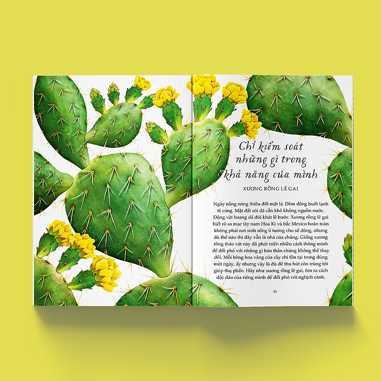 Vươn Mình Như Những Đoá Hoa - Những Bài Học Nhỏ Để Có Nguồn Vui Và An Lành Bất Tận - Ảnh 6