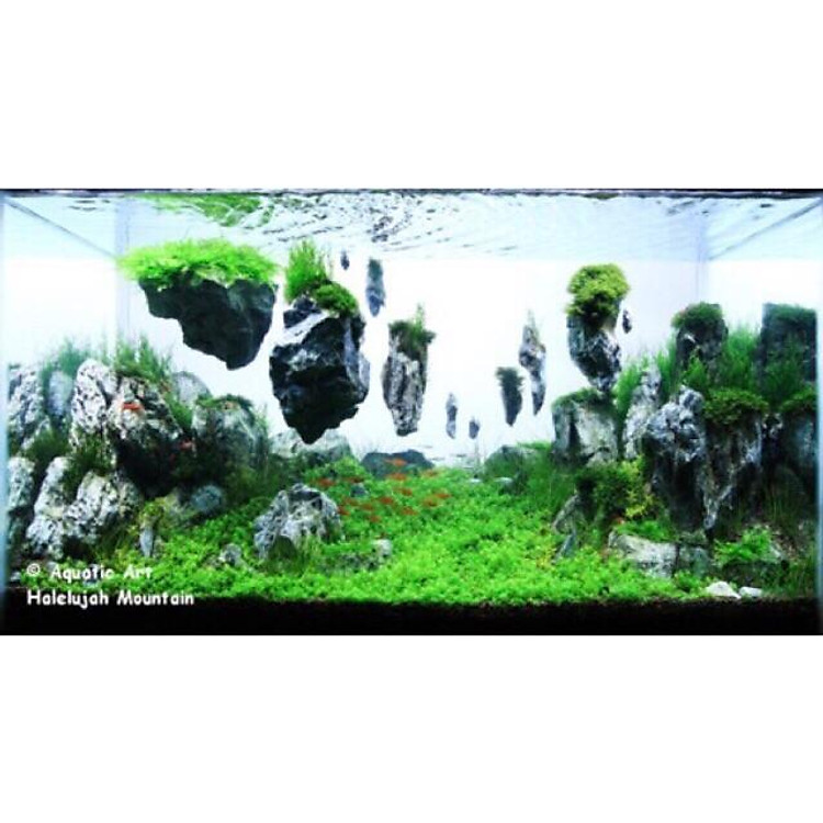 ĐÁ NỔI AVATAR - ĐÁ BAY SETUP HỒ THUỶ SINH SIÊU ĐẸP