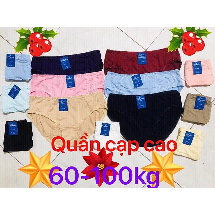 Set 10 quần lót nữ BIG SIZE Thun cotton Cạp cao Hàng Việt Nam(Từ 60kg đến 110kg) Hàng Việt Nam