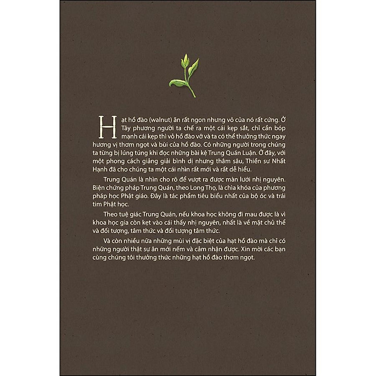 Đập Vỡ Vỏ Hồ Đào - 2024 - Ảnh 2