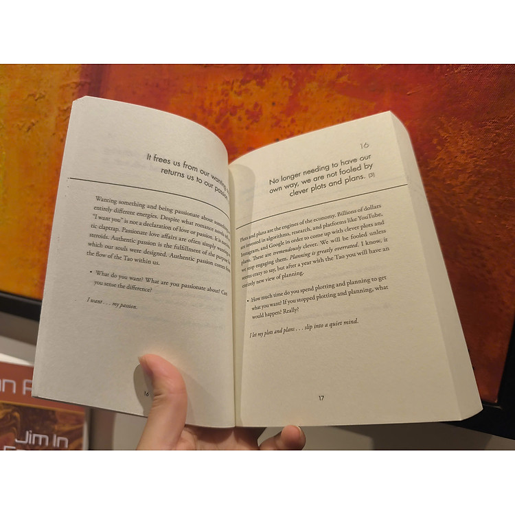 The Daily Tao: 365 Meditations on the Tao Te Ching (Day by Day Series) - Ảnh 6