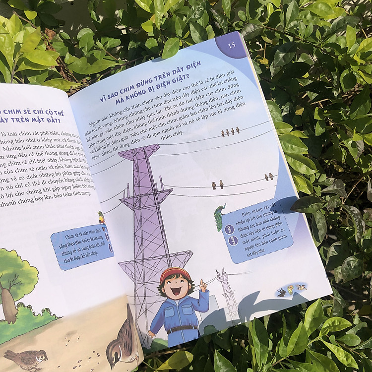 10 Vạn Câu Hỏi Vì Sao - Động Vật Biết Bay Và Thực Vật - Ảnh 4