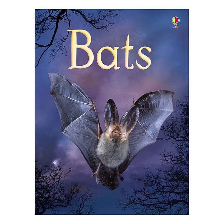 Sách Usborne Bats
