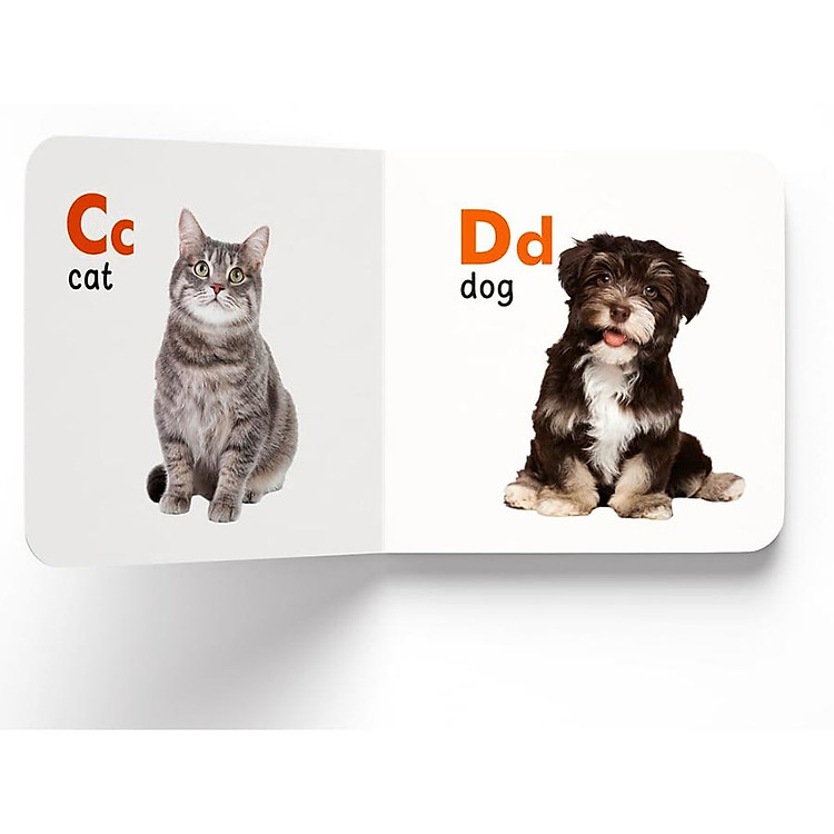 My First Library: Boxset of 10 Board Books for Kids - Ảnh 6