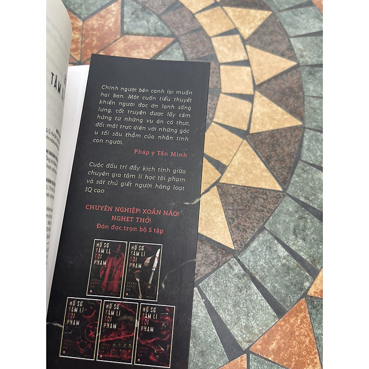 HỒ SƠ TÂM LÍ TỘI PHẠM (Tập 3) - Ảnh 3