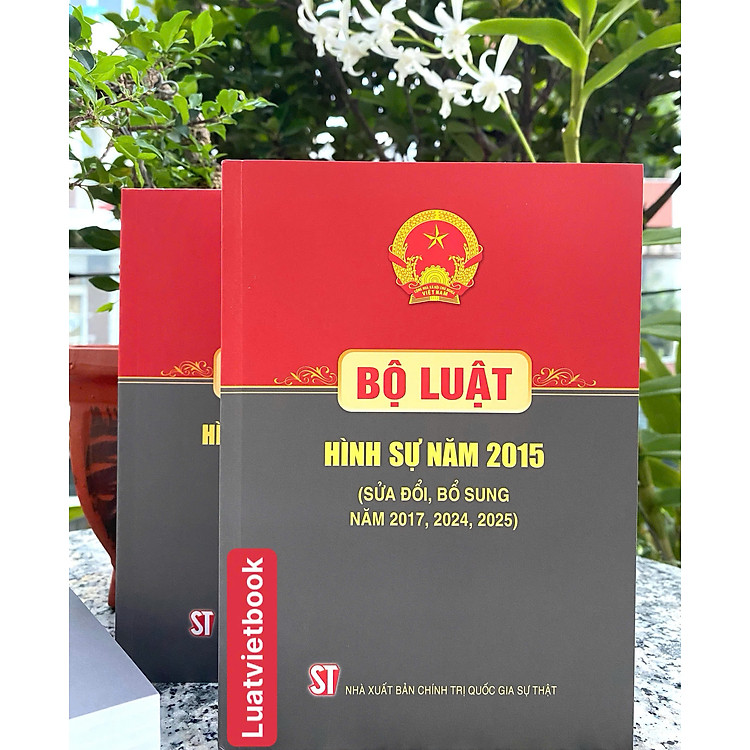 Bộ Luật Hình Sự Năm 2015 (Sửa Đổi, Bổ Sung Năm 2017, 2024, 2025) - Ảnh 2