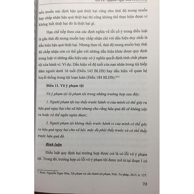 Bình luận khoa học Bộ luật hình sự 2015, được sửa đổi bổ sung 2017 (phần chung) - Ảnh 6