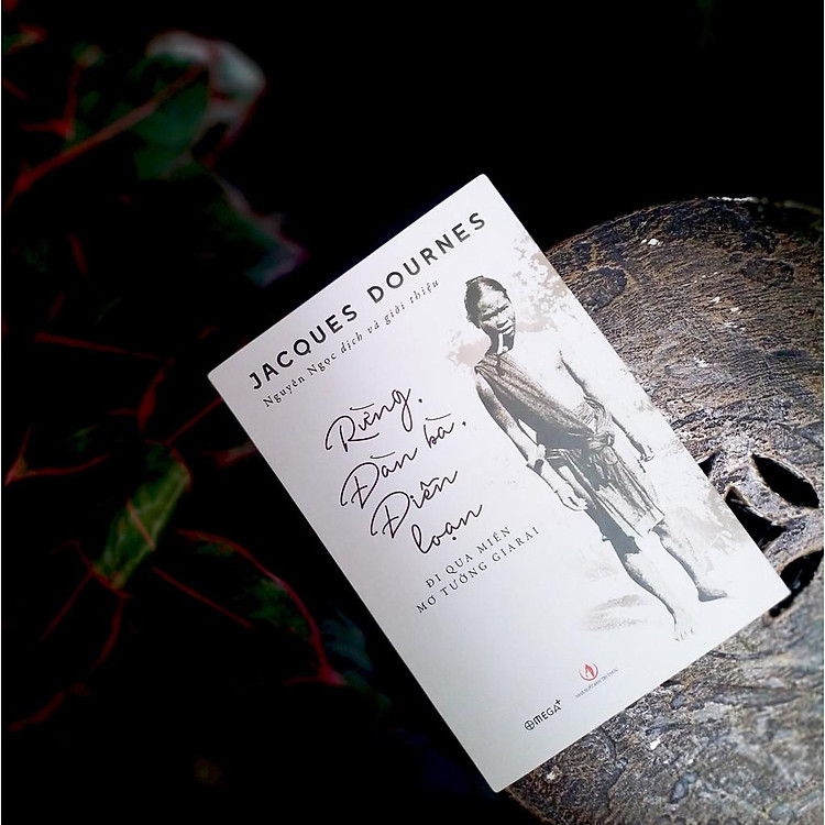 Rừng, đàn bà, điên loạn - Ảnh 3