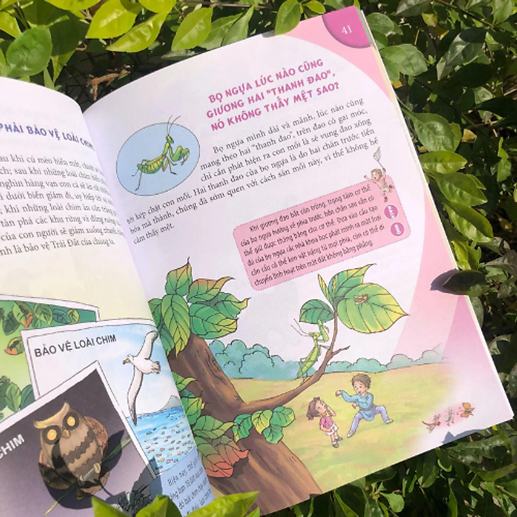 10 Vạn Câu Hỏi Vì Sao Dành Cho Thiếu Nhi - Sức Khỏe Và Thói Quen Tốt - Ảnh 4