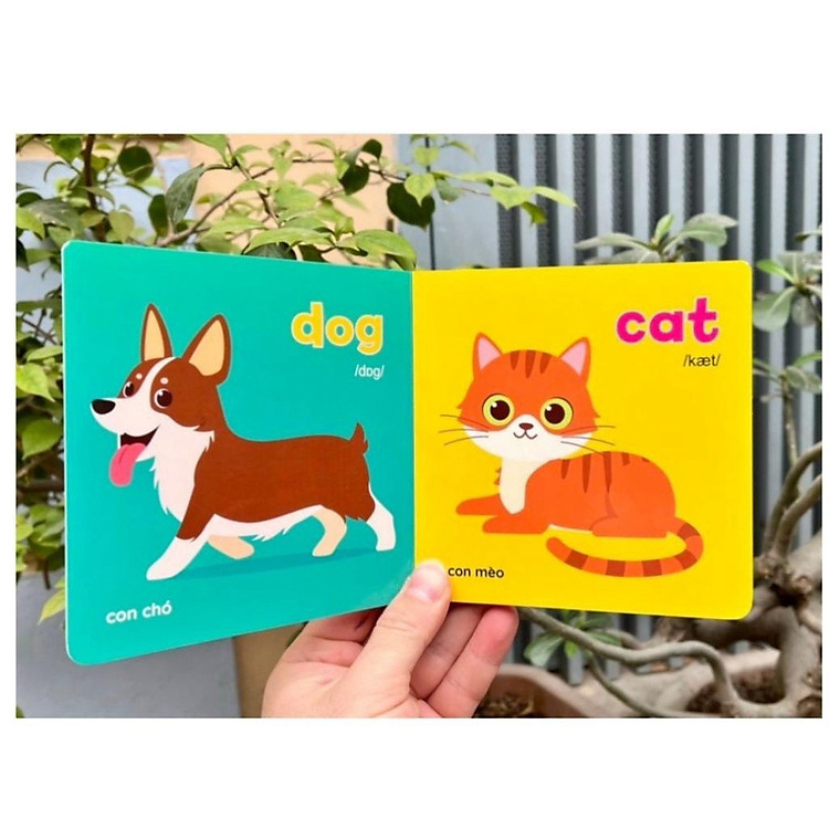 Baby First Picture Book - Song Ngữ Anh Việt - Ảnh 5