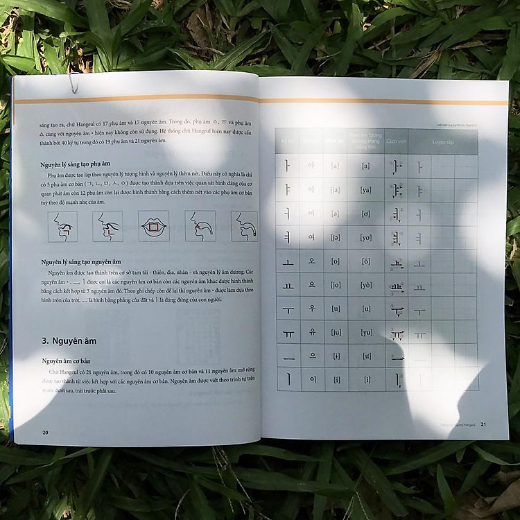 Tiếng Hàn Tổng Hợp Dành Cho Người Việt Nam - Sơ Cấp 1 (4 Màu) - Ảnh 2