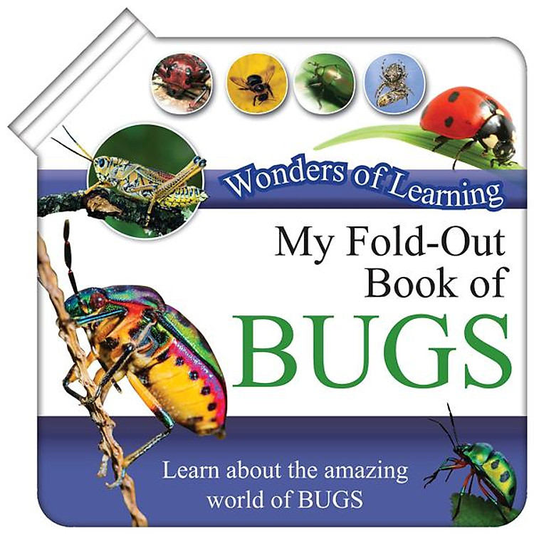 Wonder Of Learning – My Fold-Out Book Of Bugs
