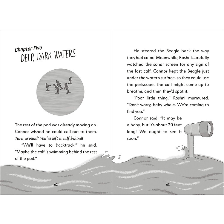 The Secret Explorers And The Lost Whales - Ảnh 5