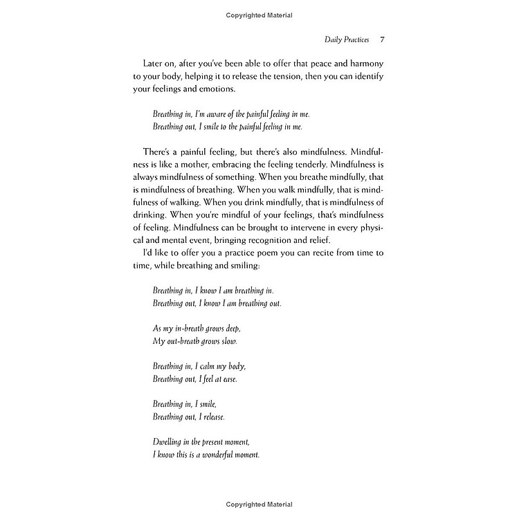 Happiness - Essential Mindfulness Practices - Ảnh 7