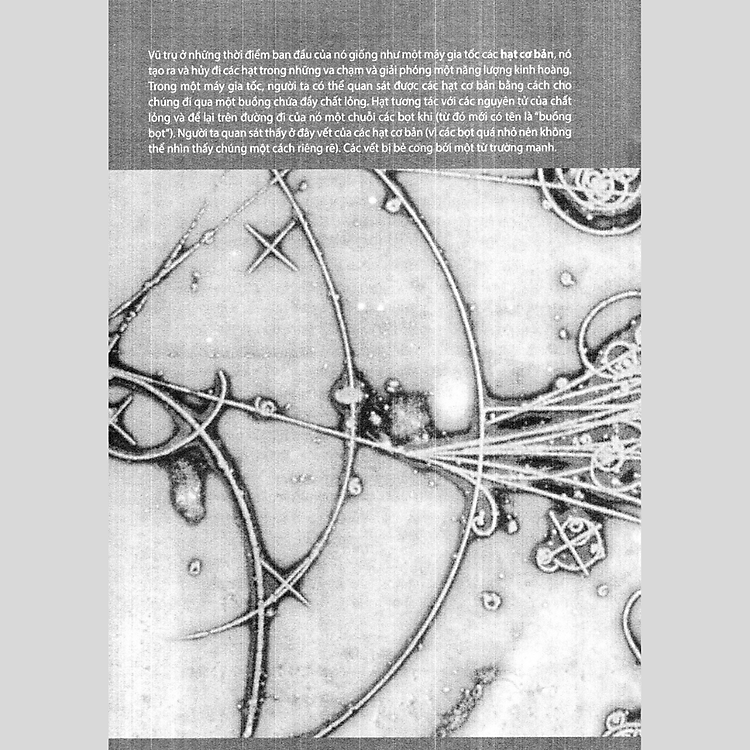 Nguồn Gốc - Nỗi Hoài Niệm Về Những Thuở Ban Đầu - Ảnh 3