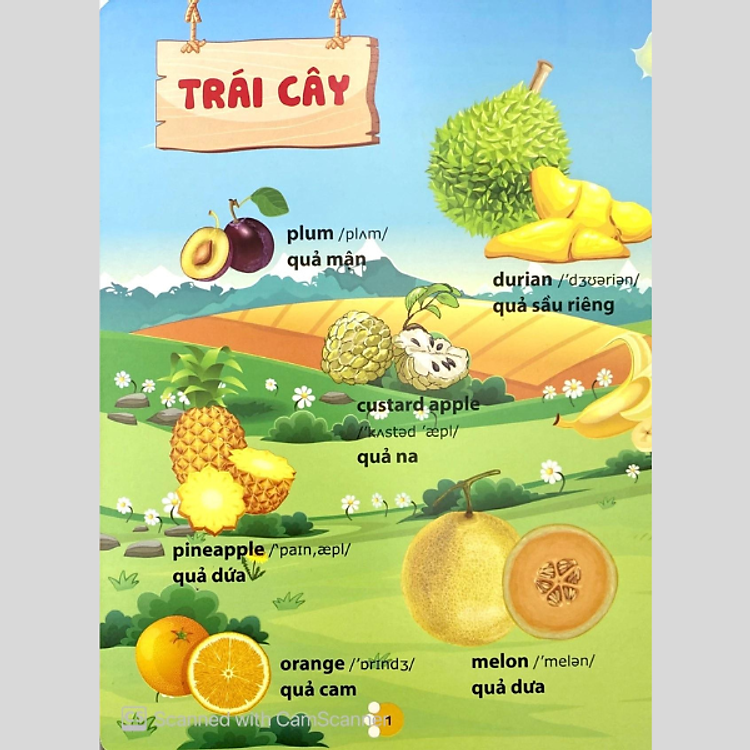 Từ Điển Phát Triển Ngôn Ngữ Bằng Hình Dành Cho Trẻ Mầm Non - Ảnh 2