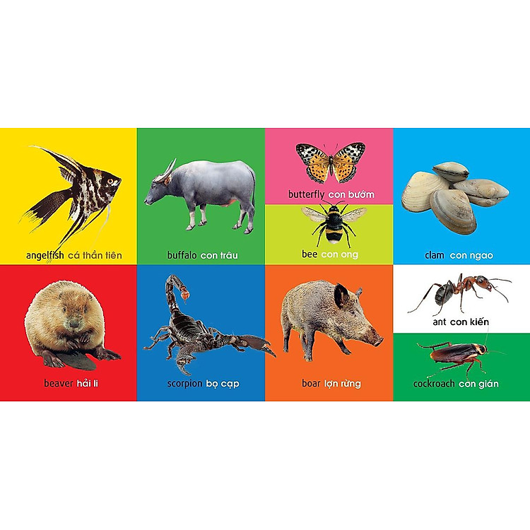 101 Từ Đầu Tiên: Động Vật (Tái Bản 2021) - Ảnh 2