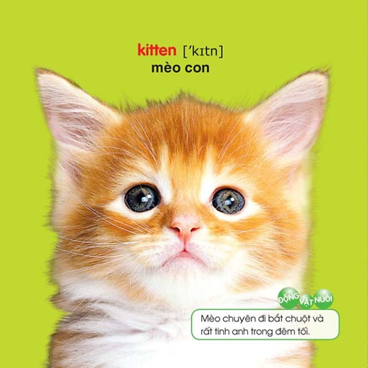 Bé Yêu Đi Mẫu Giáo - Ảnh 3