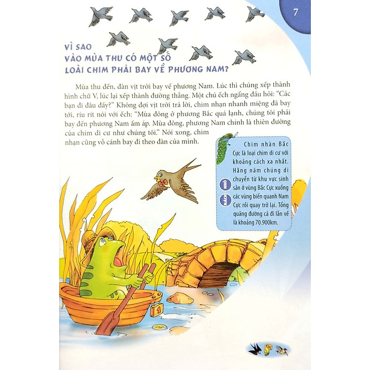 10 Vạn Câu Hỏi Vì Sao Dành Cho Thiếu Nhi - Động Vật Biết Bay - Ảnh 3