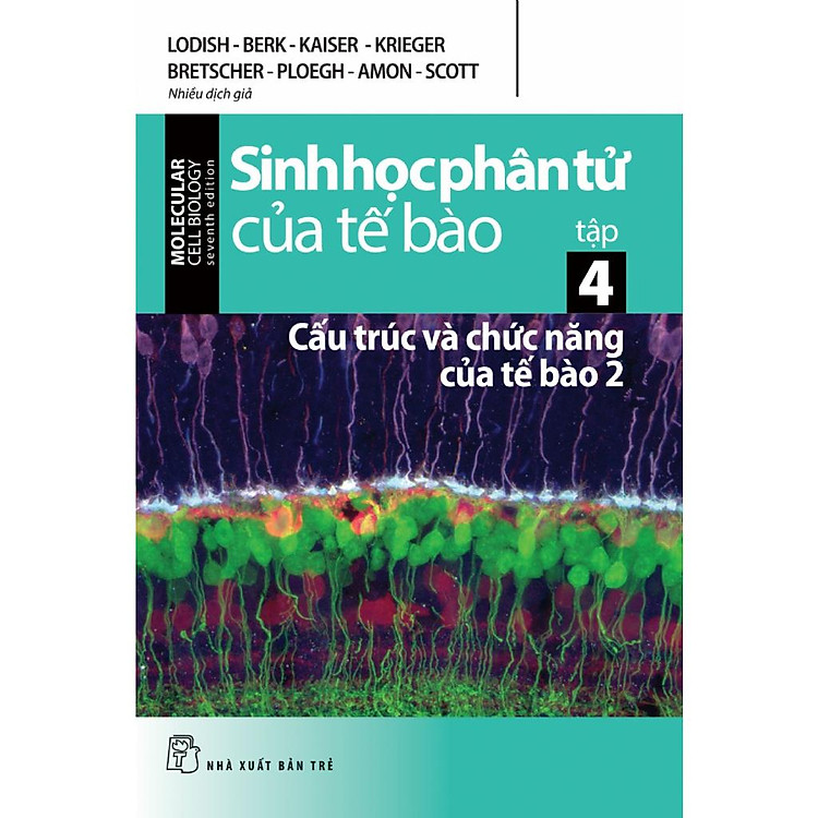 Sách - Sinh Học Phân Tử Của Tế Bào 04: Cấu Trúc Và Chức Năng Của Tế Bào (Phần 2) (NXBT)