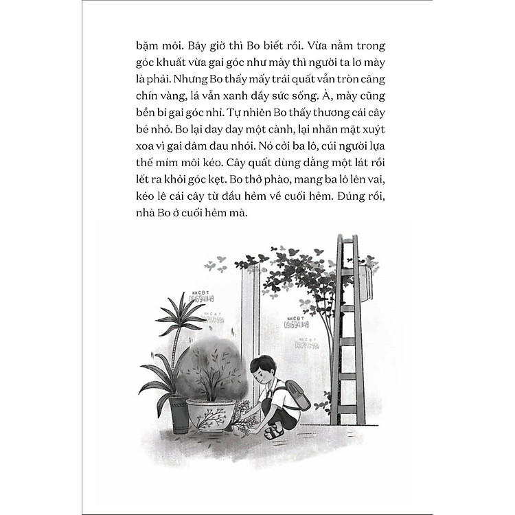 Văn Học Tuổi Hoa - Cây Quất Xù Gai - Ảnh 3