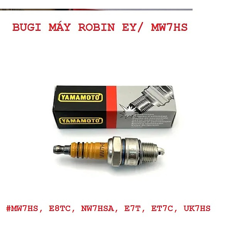 Bình xăng con, chế hòa khí , Piston , Xéc măng, Ốp giật, tay dên, Cuộn dây IC, Bugi, máy Robin EY15 EY20