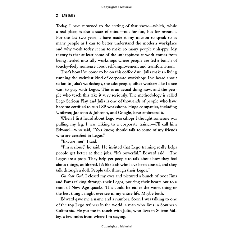 Lab Rats: Tech Gurus, Junk Science, And Management Fads - My Quest To Make Work Less Miserable - Ảnh 6
