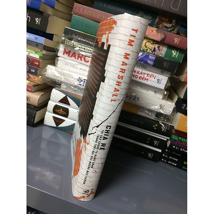 CHIA RẼ - TẠI SAO CHÚNG TA ĐANG SỐNG TRONG THỜI ĐẠI CỦA NHỮNG BỨC TƯỜNG - Ảnh 3