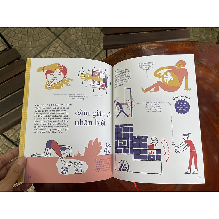 TỎ TƯỜNG TAY TA – Bách Khoa Toàn Thư Về Đôi Tay - Ảnh 2