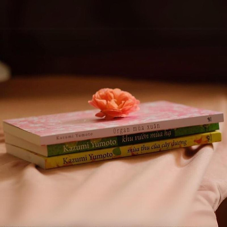 Mùa Thu Của Cây Dương (TB 2024) - Ảnh 5