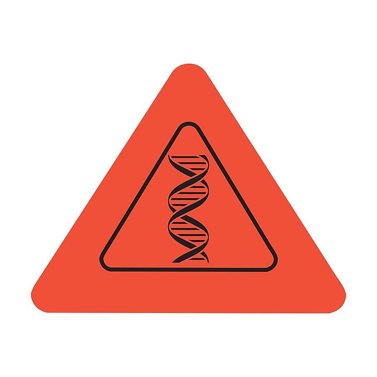 Cẩm Nang Khám Phá Cơ Thể Người - Ảnh 3