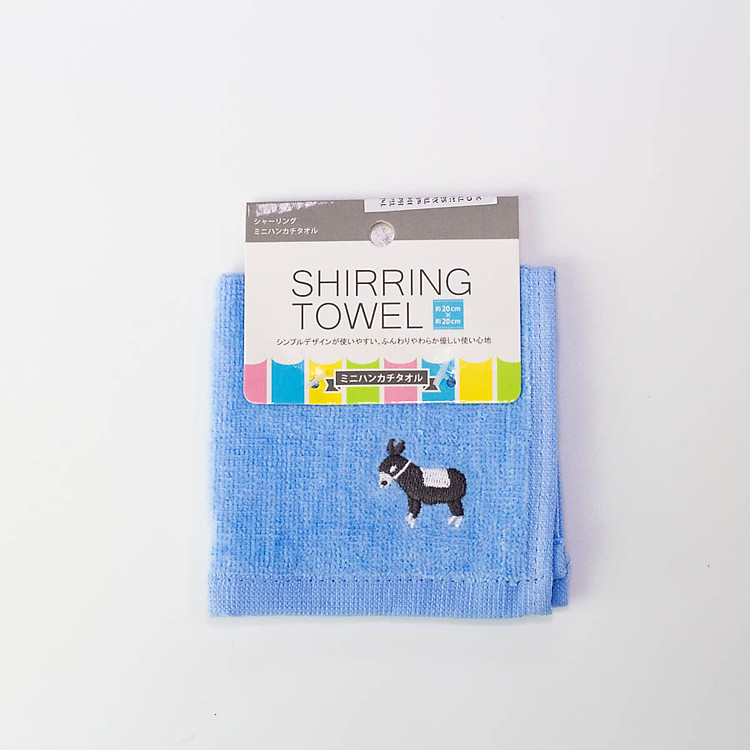 Khăn Lông Màu Xanh (20 x 20)