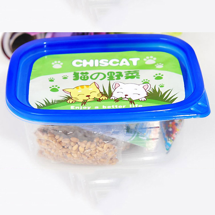 Nguyên bộ trồng cỏ mèo catnip cho mèo đất thủy tinh