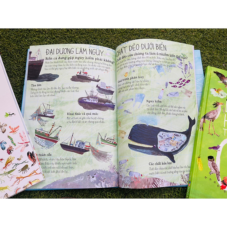 A Lê Hấp! - Thế Giới Biển - Ảnh 3