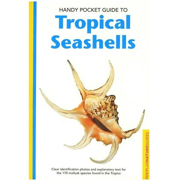 Handy Pocket Guide to Tropical Seashells (Handy Pocket Guides)