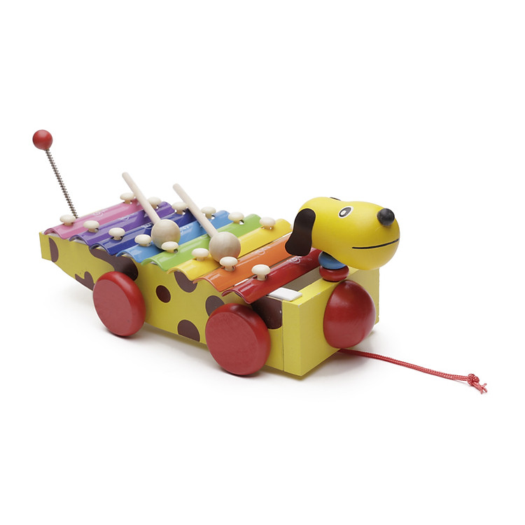 Đàn xe chó kéo Sankid