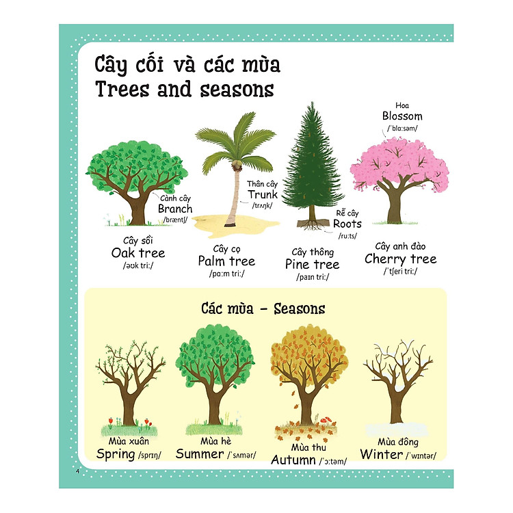 Từ Vựng Đầu Tiên Của Tôi - My First Word Book - Thiên Nhiên - Ảnh 6