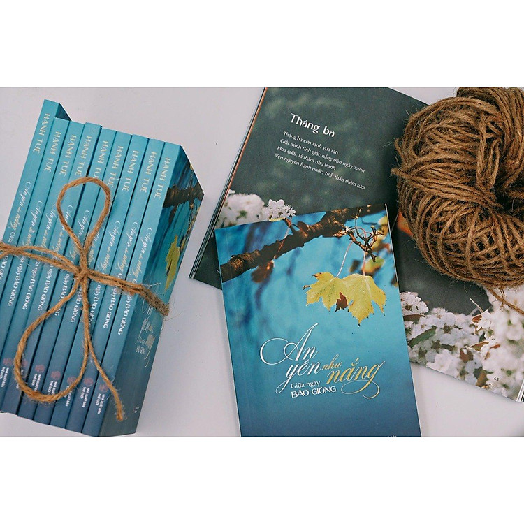 An Yên Như Nắng Giữa Ngày Bão Giông - Ảnh 5