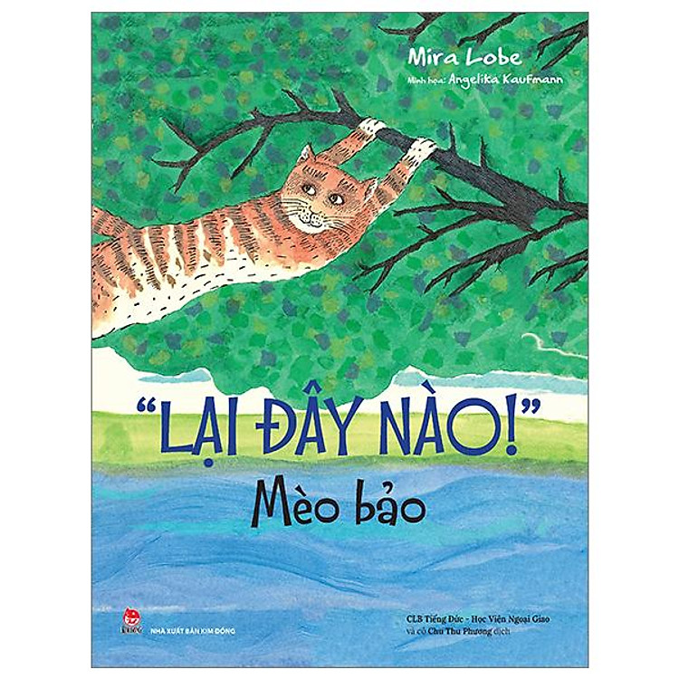 Lại Đây Nào!” – Mèo Bảo